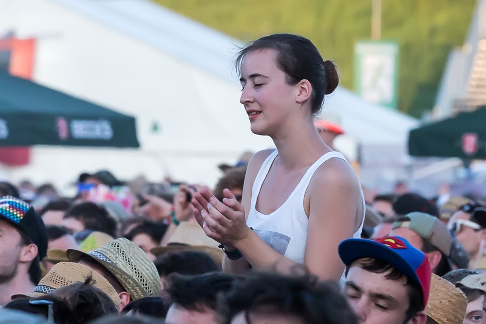 Foo Fighters - Rock im Park - 05-06-2015_0018.jpg