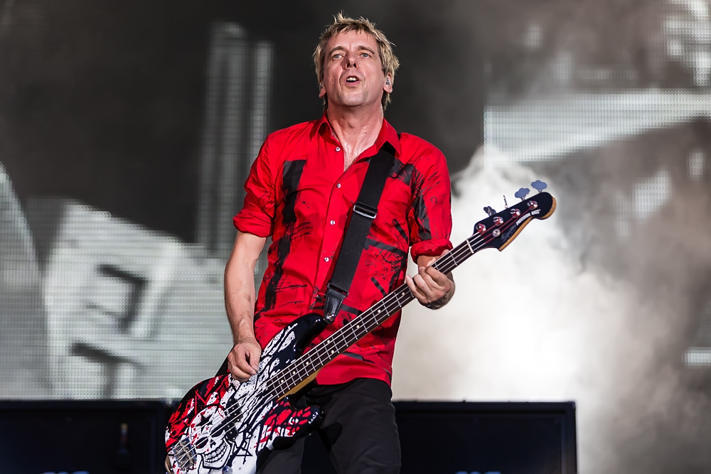 Die Toten Hosen - Rock im Park - 06-06-2015_0021.jpg