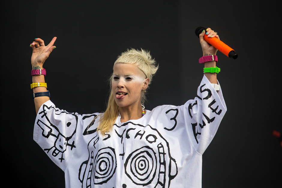 Southside Festival 2015 Die Antwoord-3.jpg
