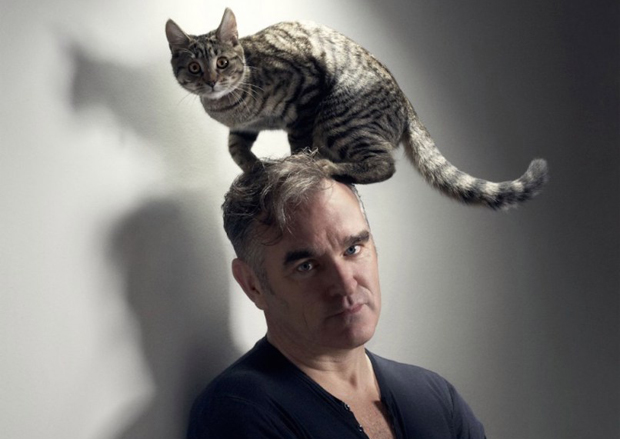 morrissey-katzen-tumblr.jpg