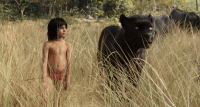 „The Jungle Book“ startet am Donnerstag in den deutschen Kinos.