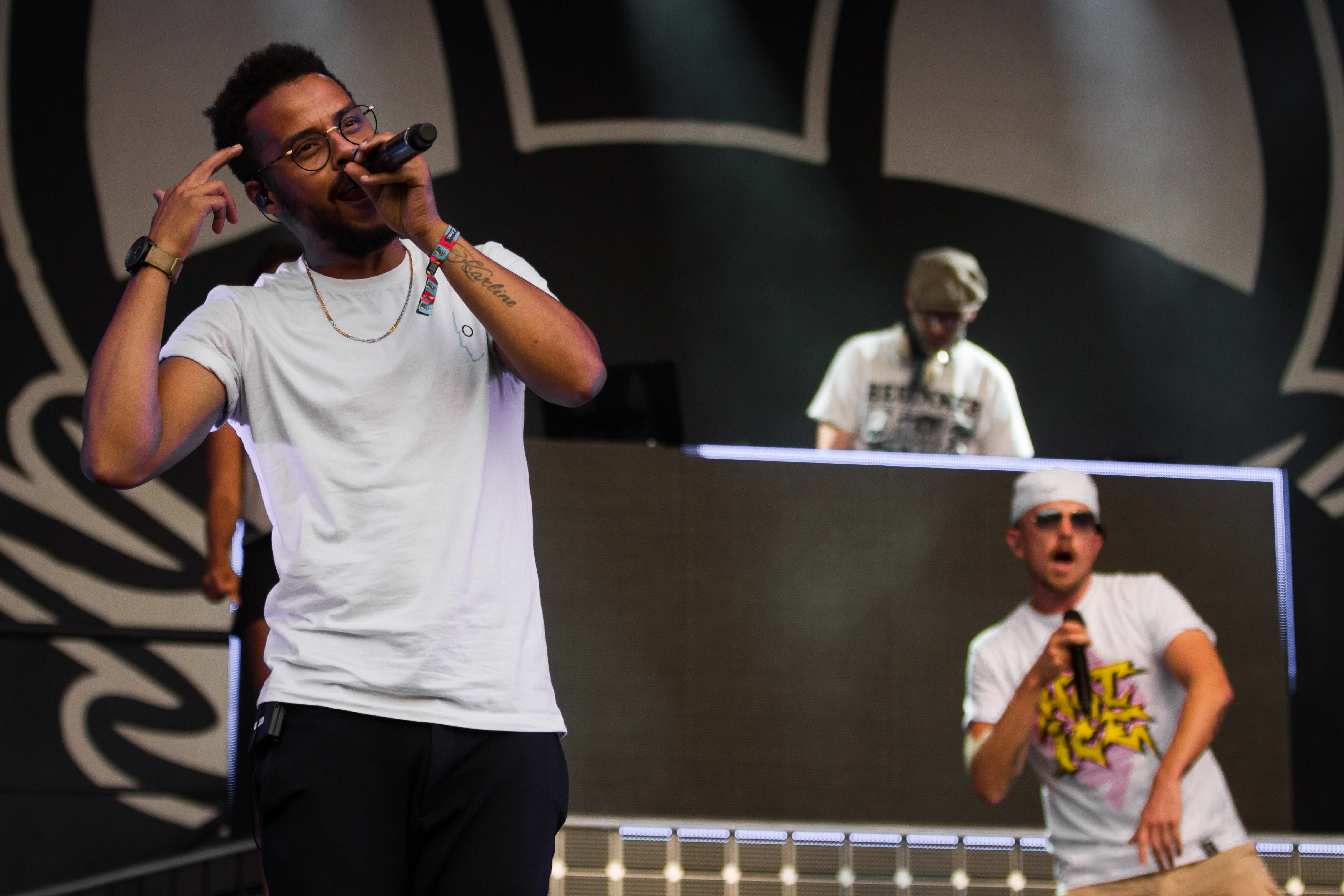 lollapalooza-beginner-christinawenig-14