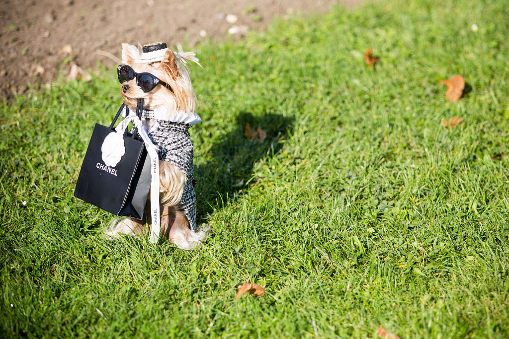 Street Style : Day Eight - Paris Fashion Week Spring/Summer 2017
