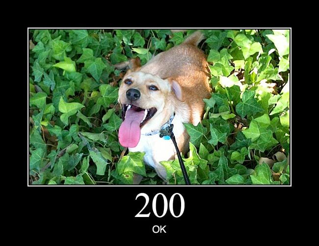 200