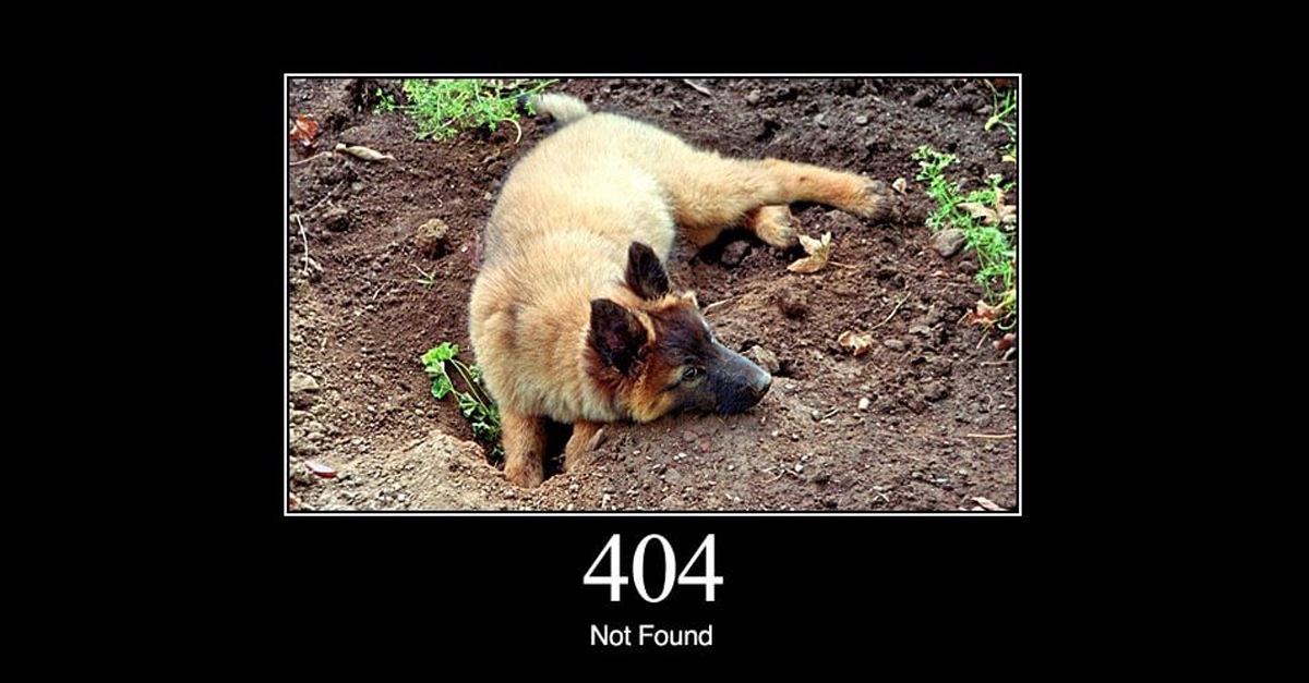 Warum ist da vorher noch niemand draufgekommen? HTTP-Fehlermeldungen, erklärt mit Hundebildern.