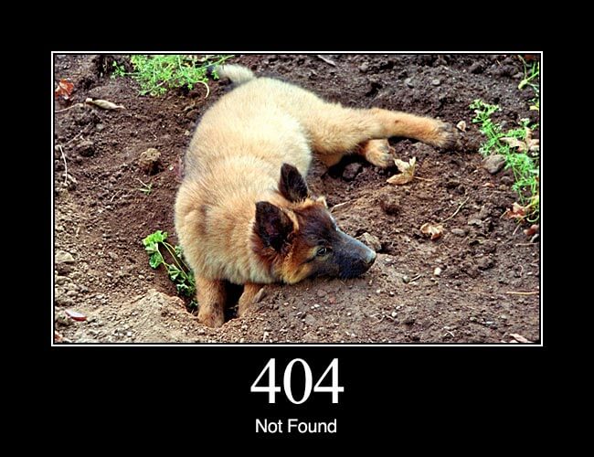 404