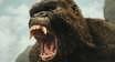 king-kong