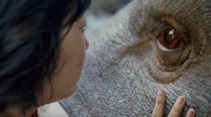 okja