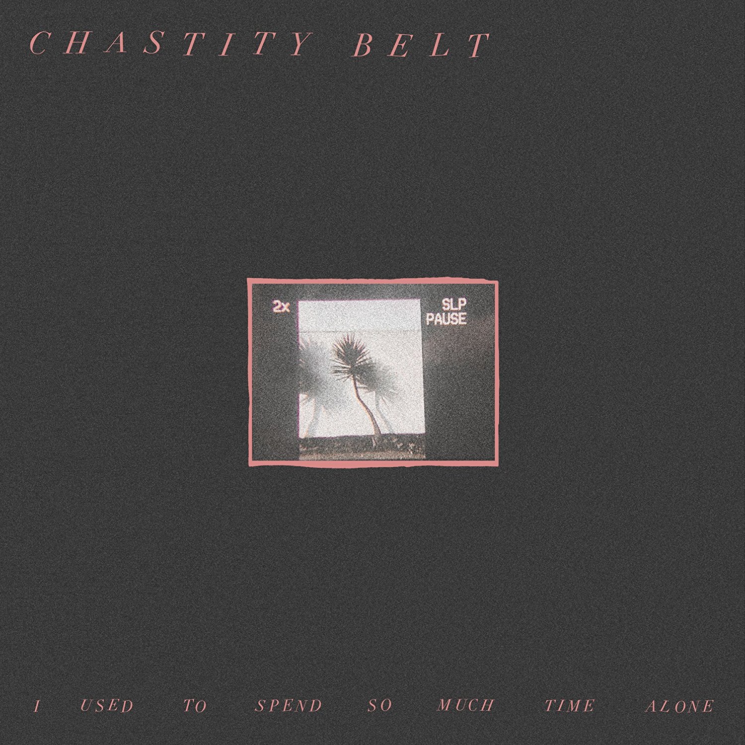 chastity-belt