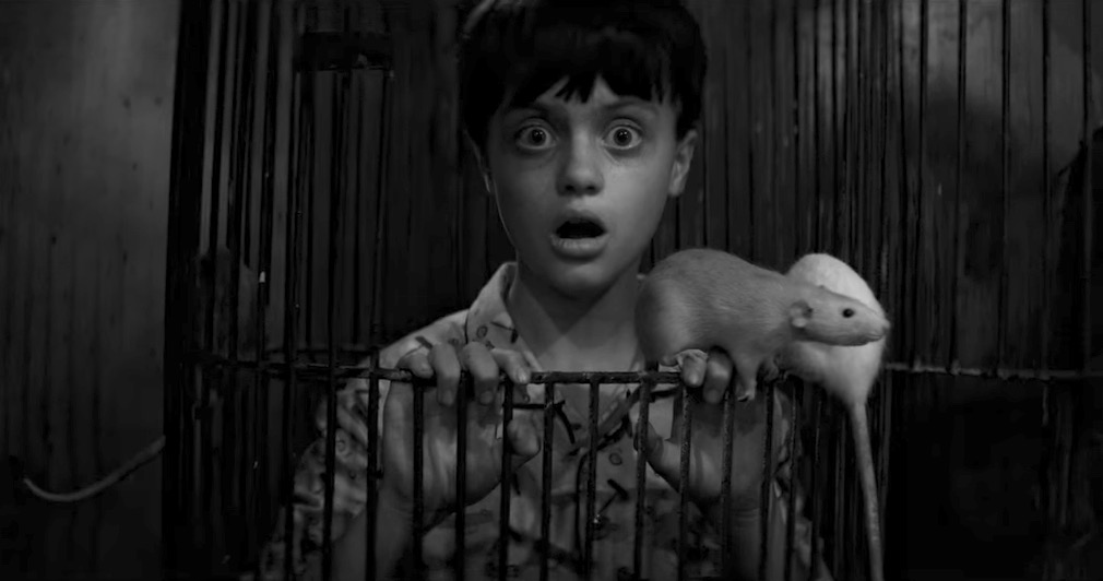 die-antwoord-tommy-cant-sleep