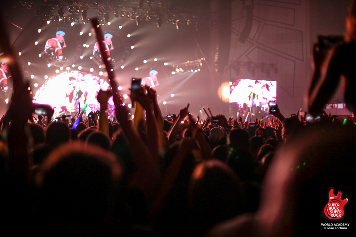 Das Publikum während des Gigs der Red Hot Chili Peppers