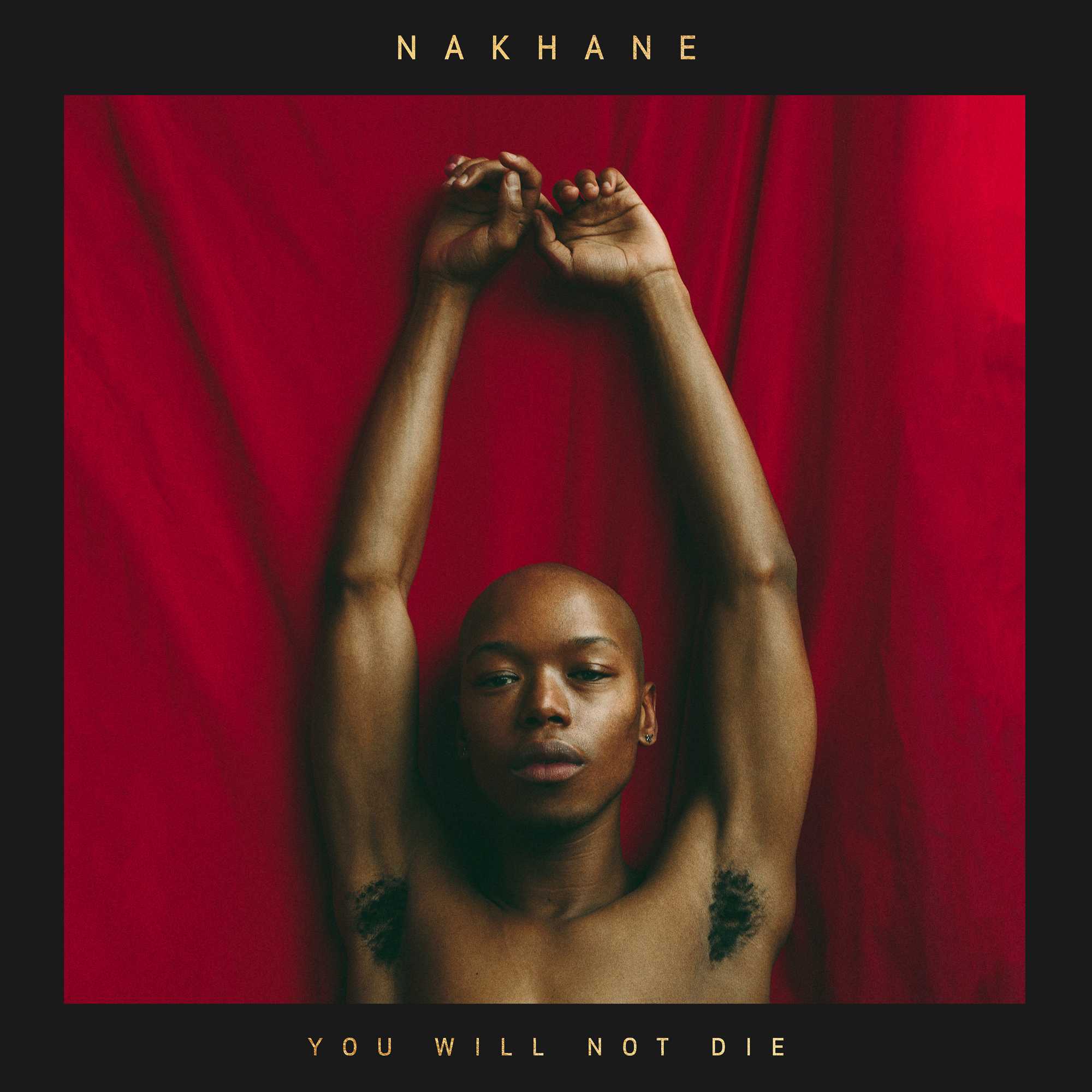 nakhane