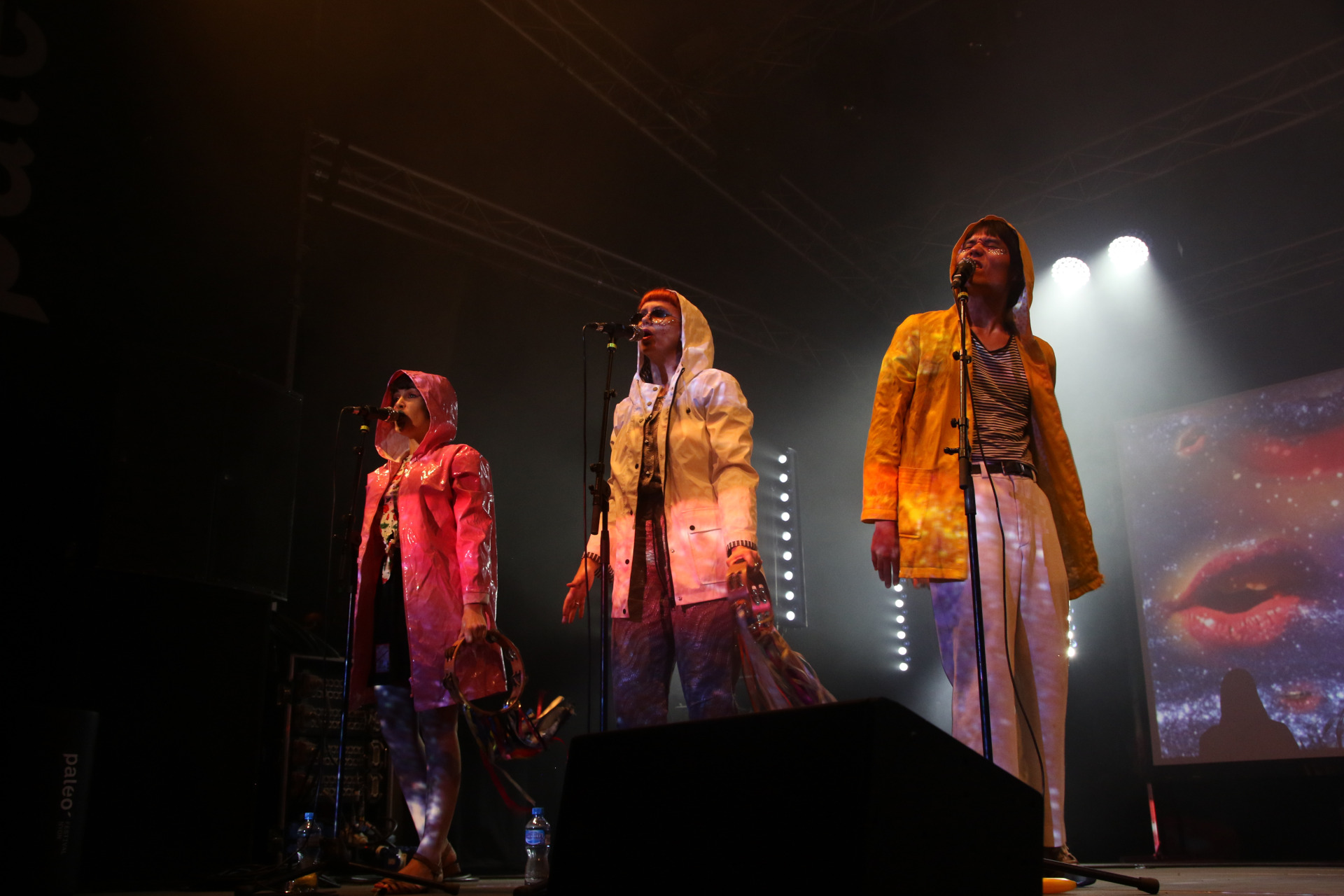 PAL_2018_tuesday_superorganism