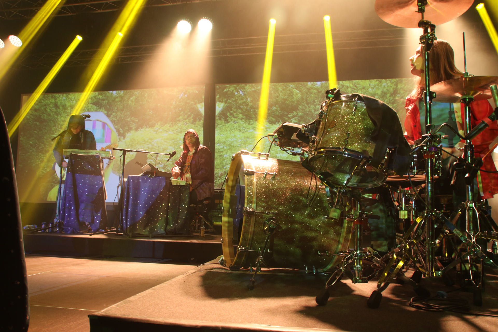 PAL_2018_tuesday_superorganism5