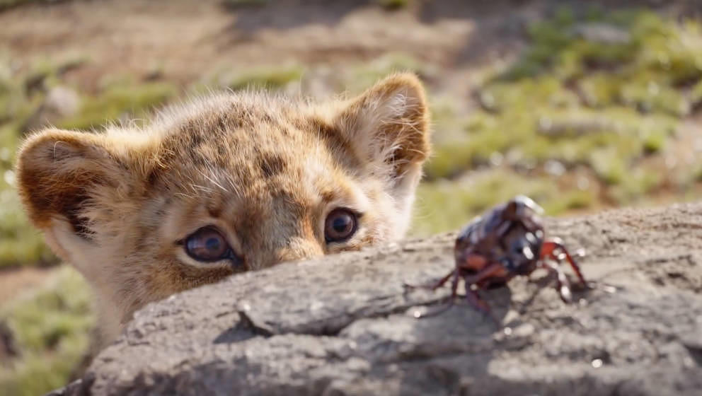 „Der König der Löwen“ Nach dem Teaser kommt jetzt erster Trailer