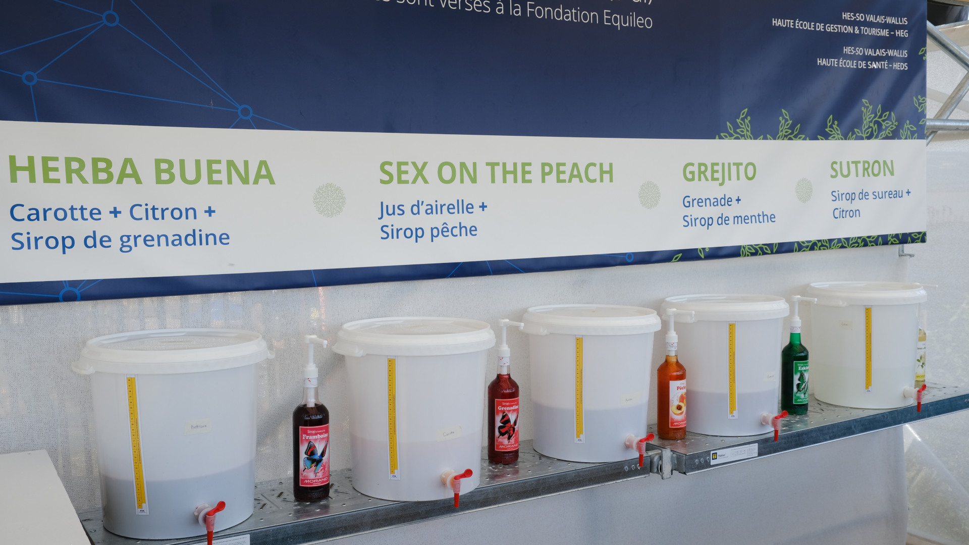 PALÉO-2019_Ambiance_13