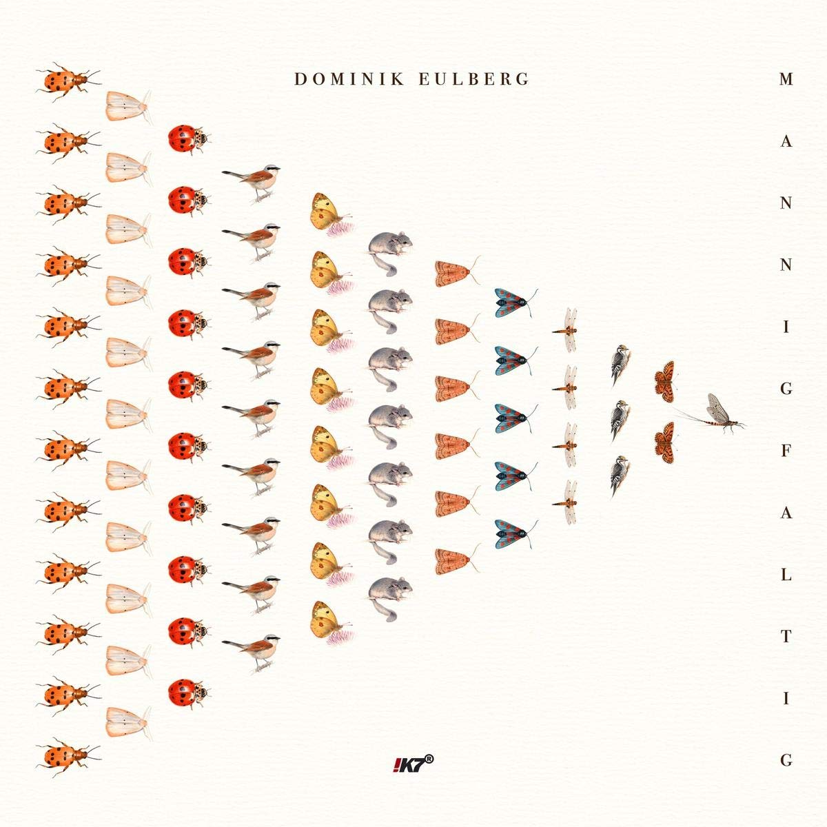 Dominik Eulberg: Mannigfaltig
