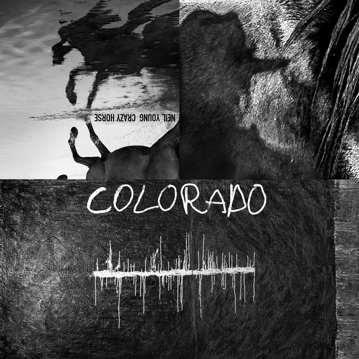 Neil Young: Colorado