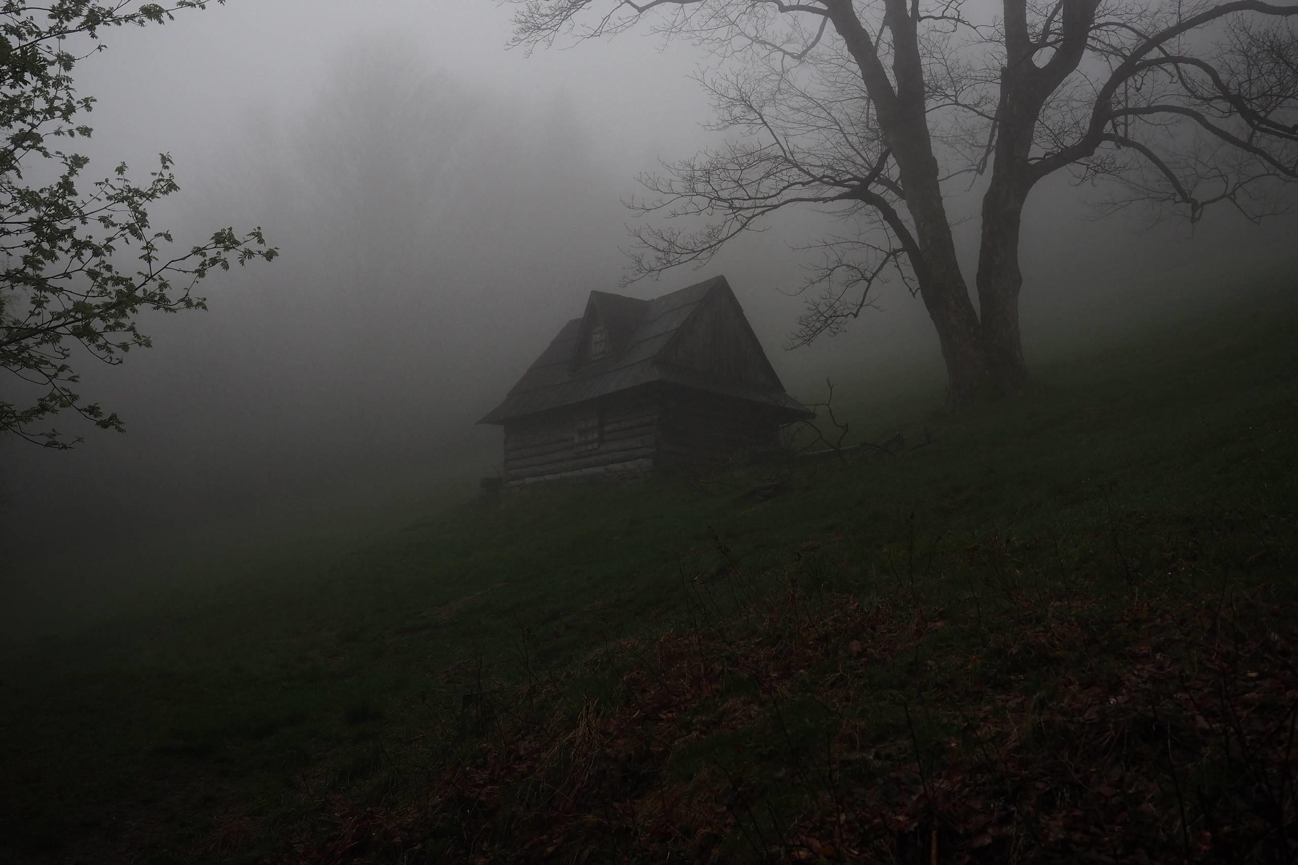 Haus im Nebel, eine Szenerie wie aus einem Horrorfilm