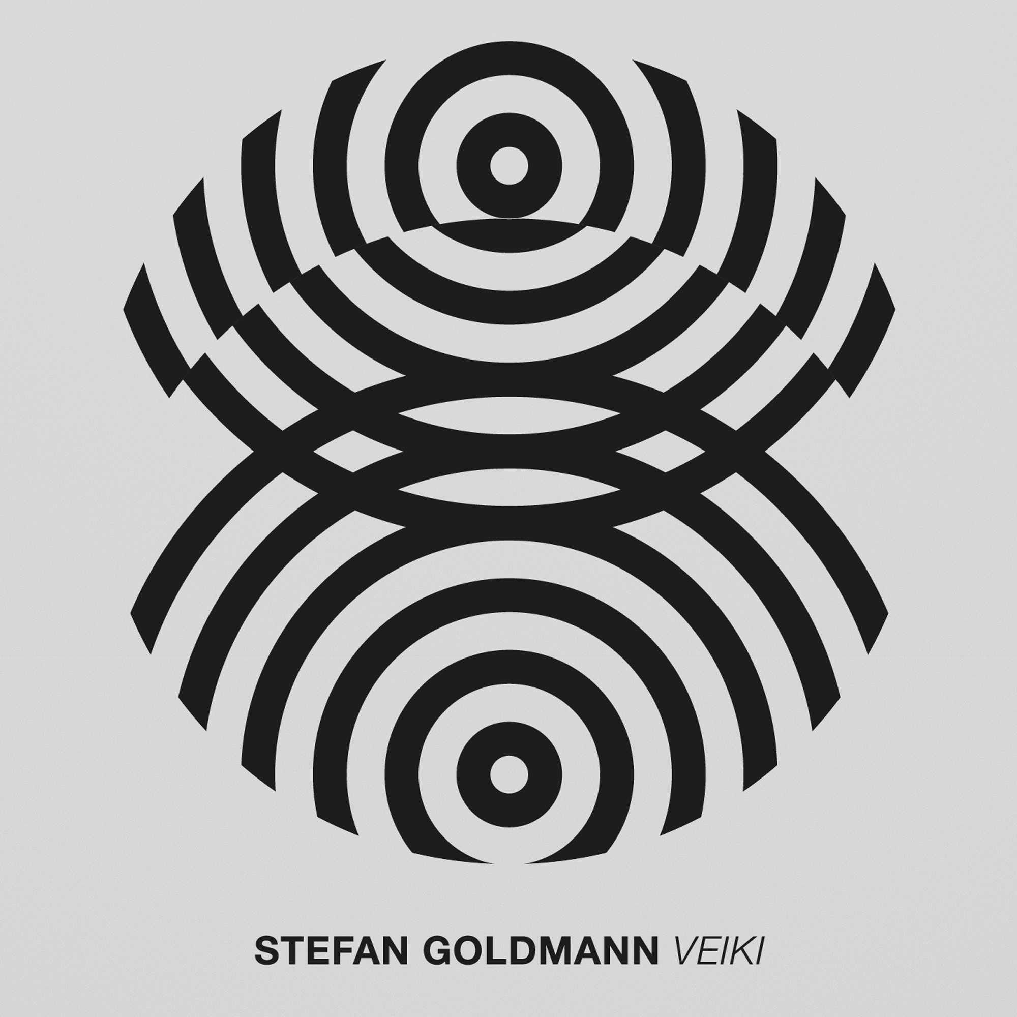 Stefan Goldmann: Veiki