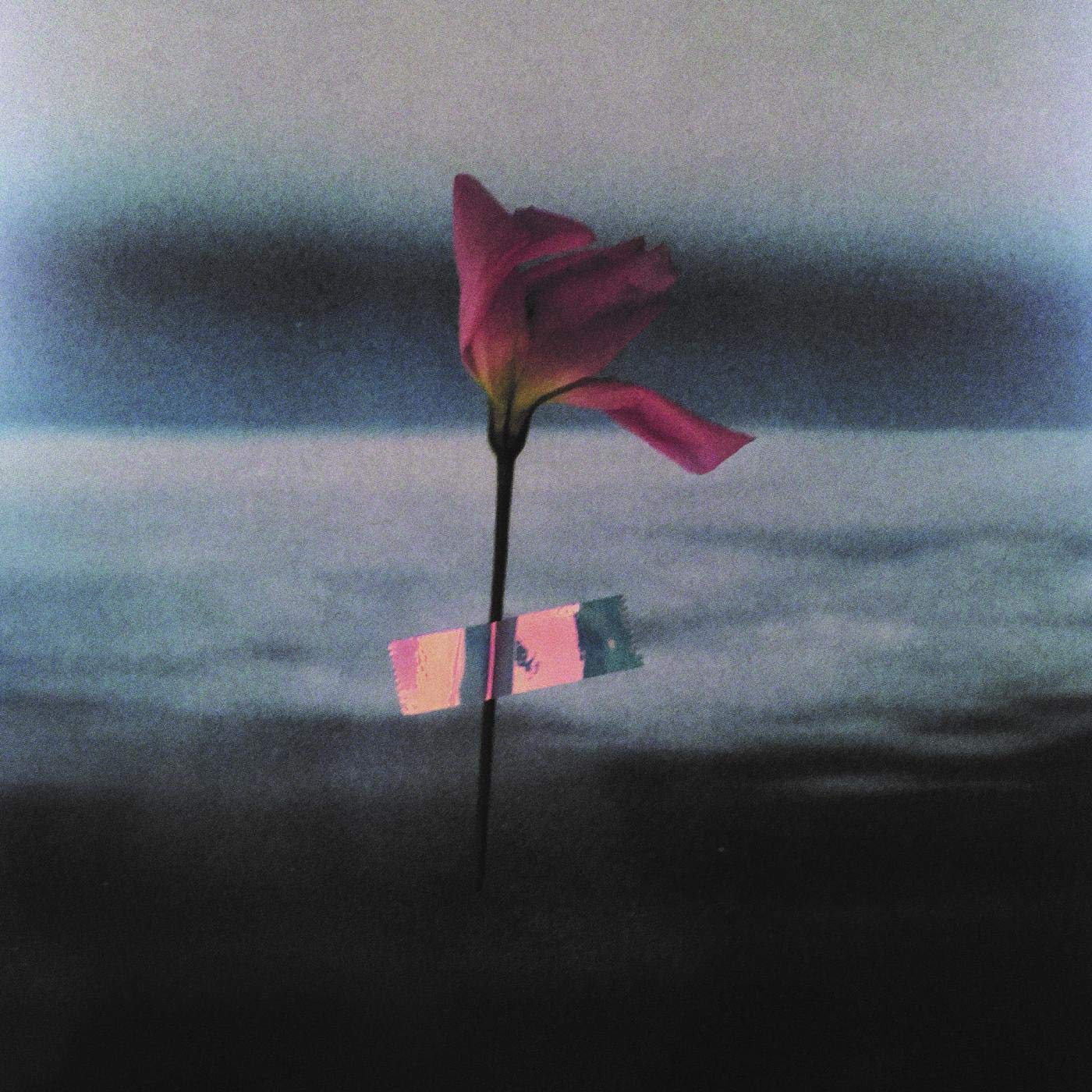 Will Samson: Paralanguage