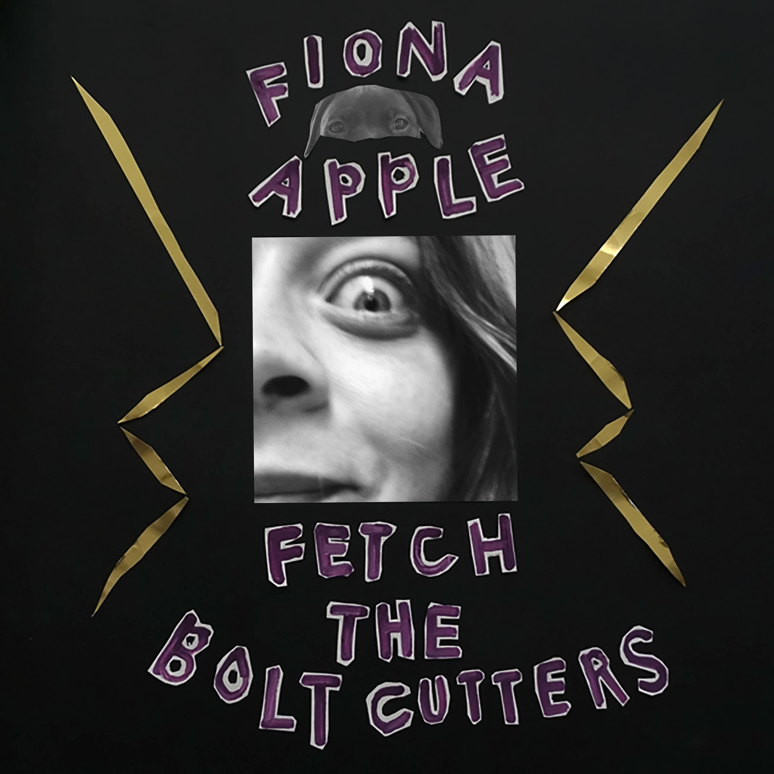Apple pic fiona Fiona Apple: