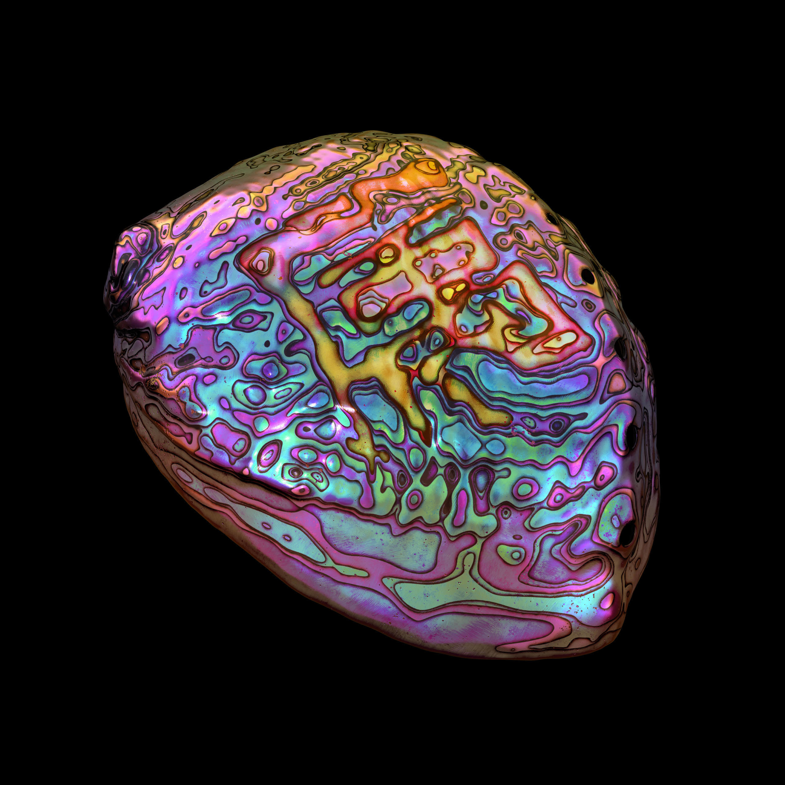 Ian Chang: Belonging