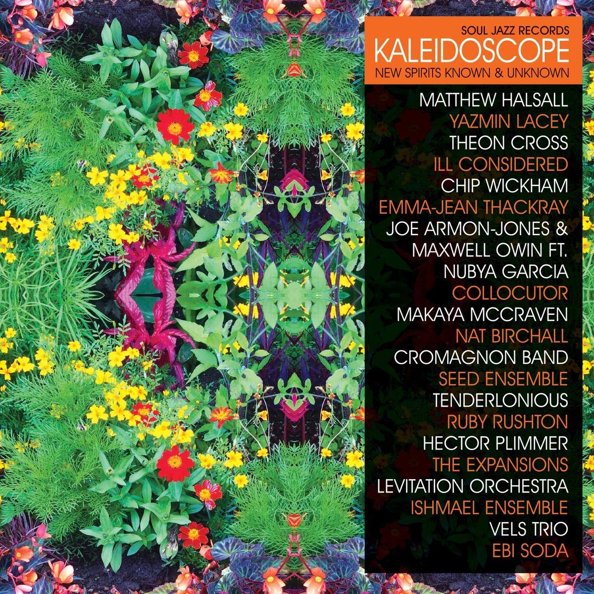Diverse - Kaleidoscope  New Spirits Known And Unknown