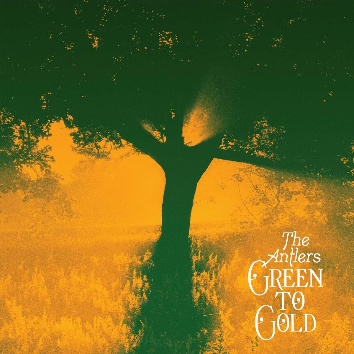 The Antlers-  Green To Gold