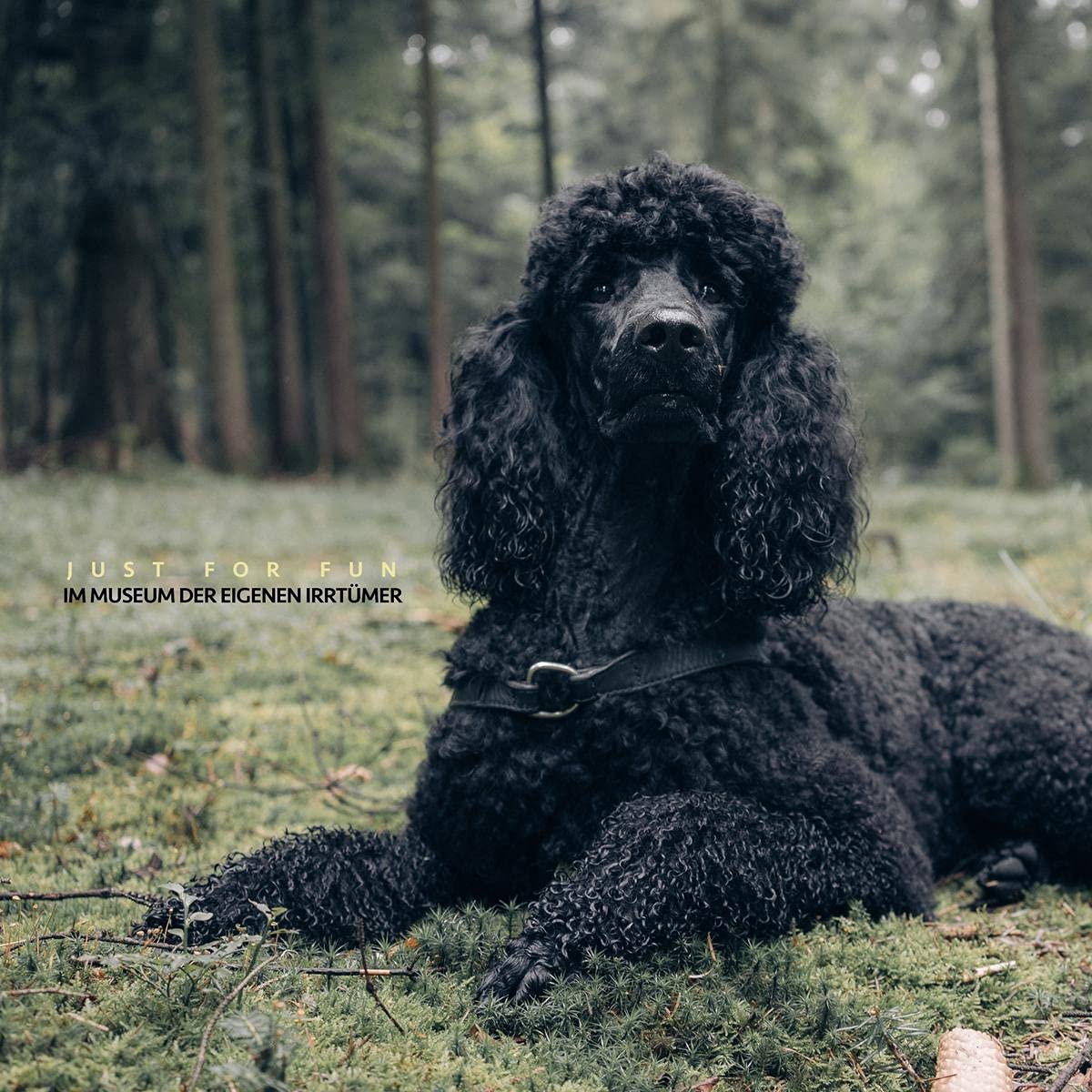 Just For Fun - Im Museum der eigenen Irrtümer