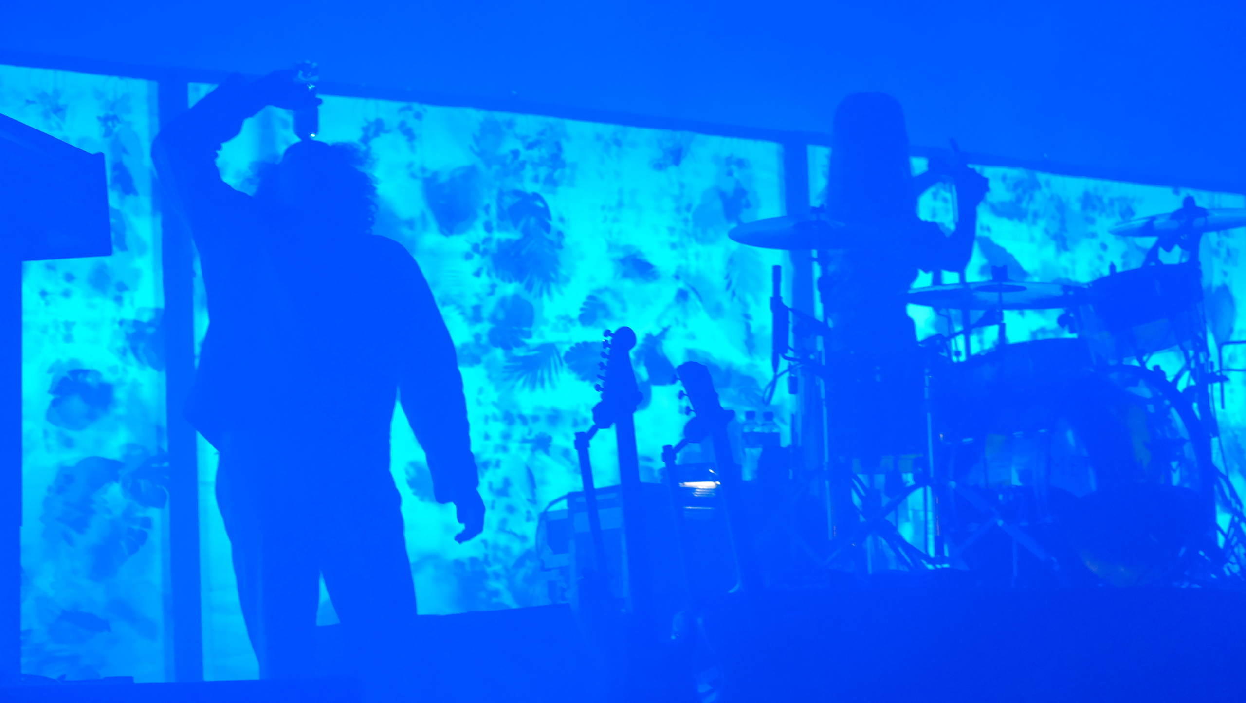 Metronomy Paleo 2022 selection e