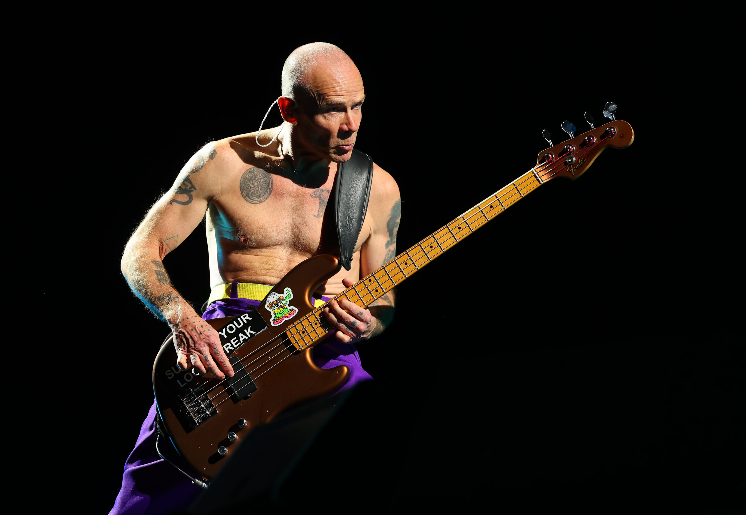 Flea von den Red Hot Chili Peppers live