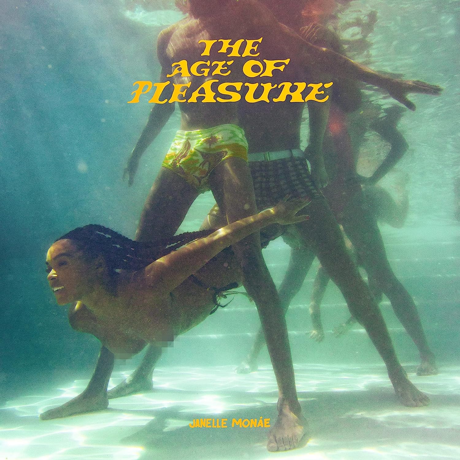 Janelle Monáe - The Age Of Pleasure