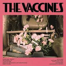 The Vaccines - Pick-Up Full Of Pink Carnations