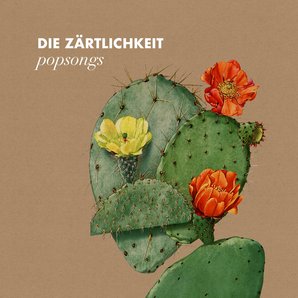 Die Zärtlichkeit - Popsongs