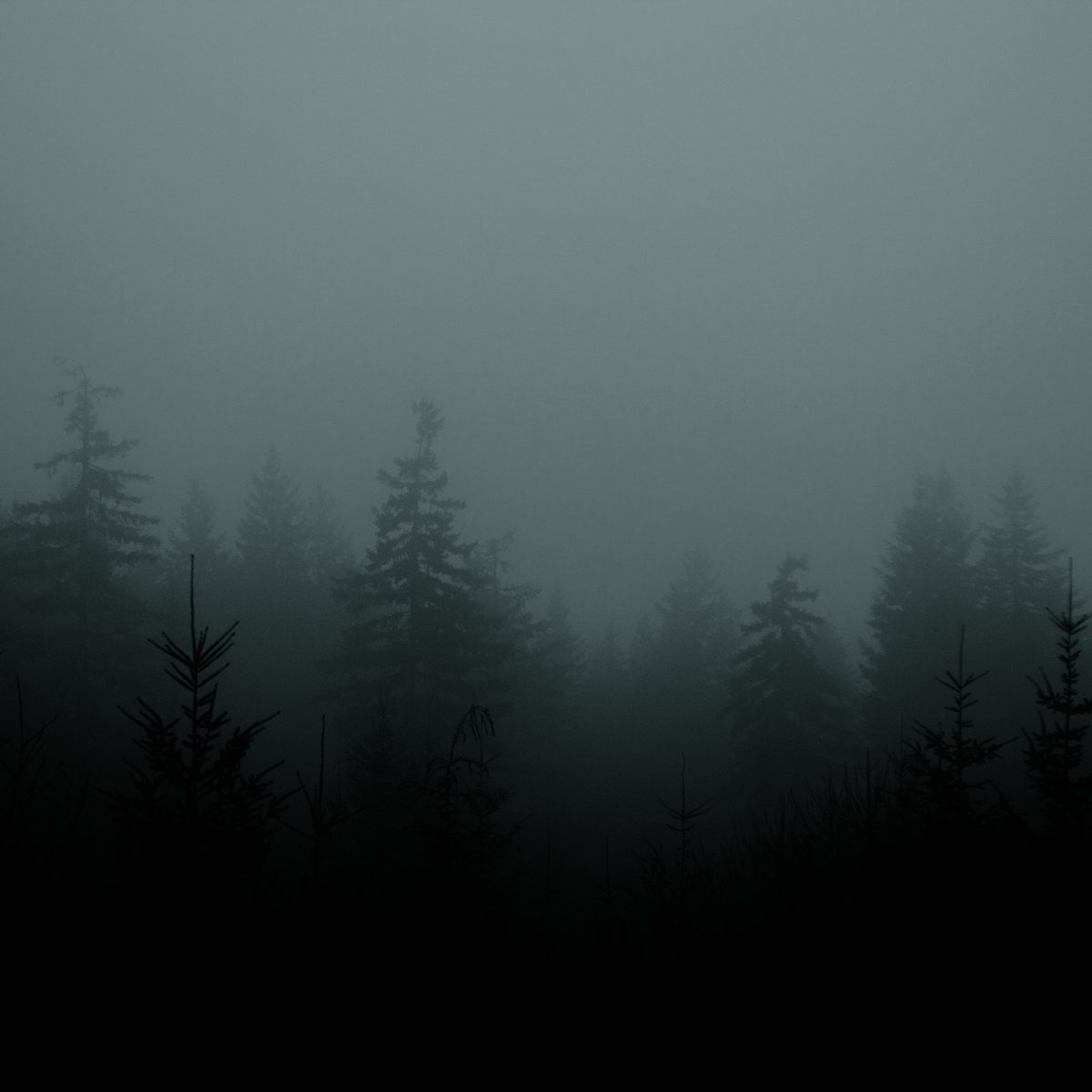Jake Muir - PAREIDOLIA