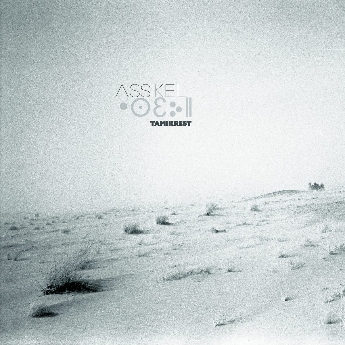 Tamikrest - ASSIKEL