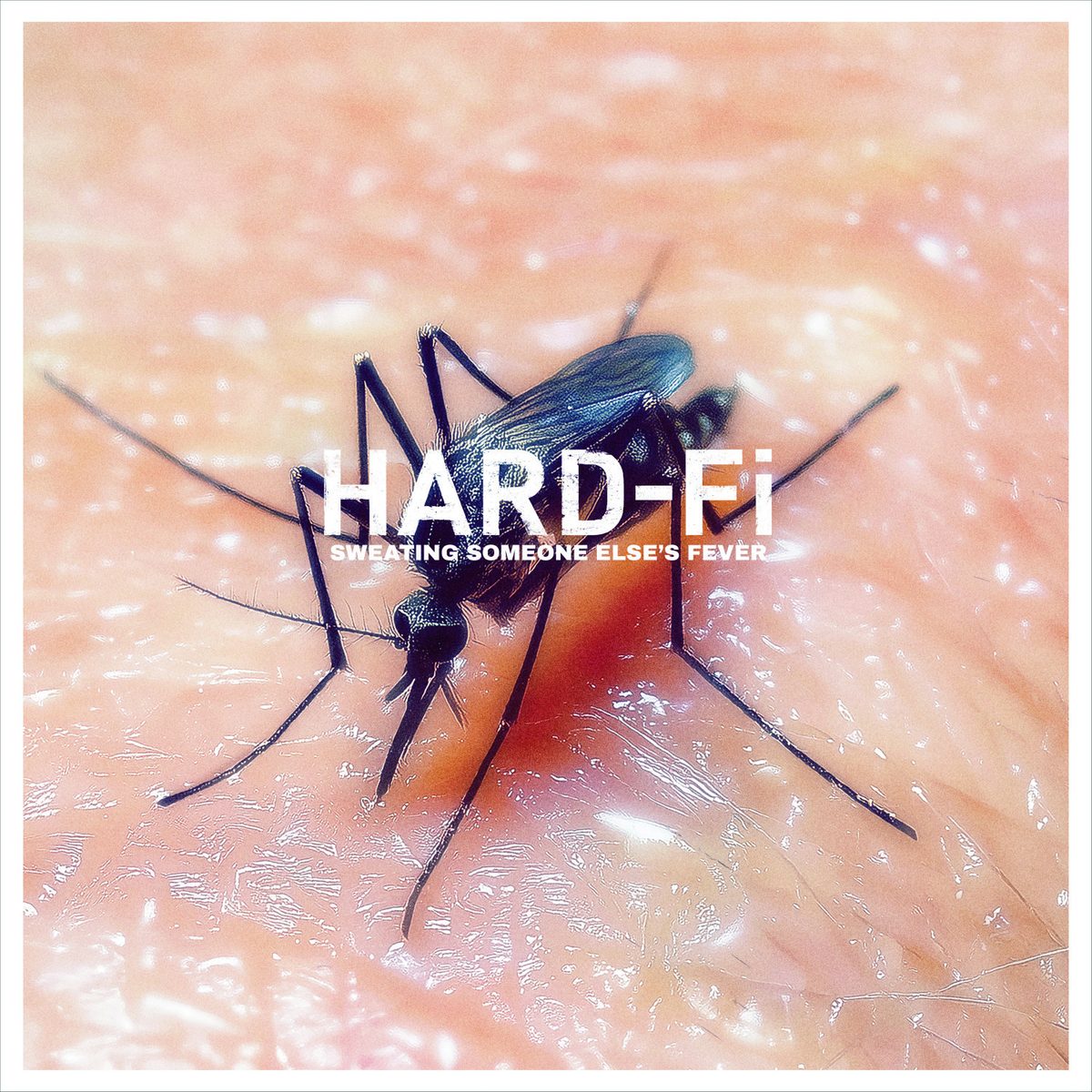 Hard-Fi - SWEATING SOMEONE ELSE’S FEVER