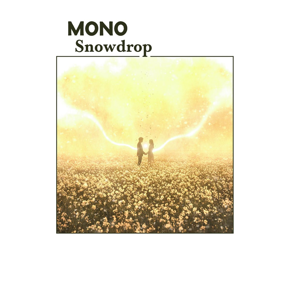 Mono - SNOWDROP